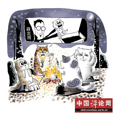 ▲物理学家薛定谔曾用一只猫比喻量子叠加。图片来源：视觉中国