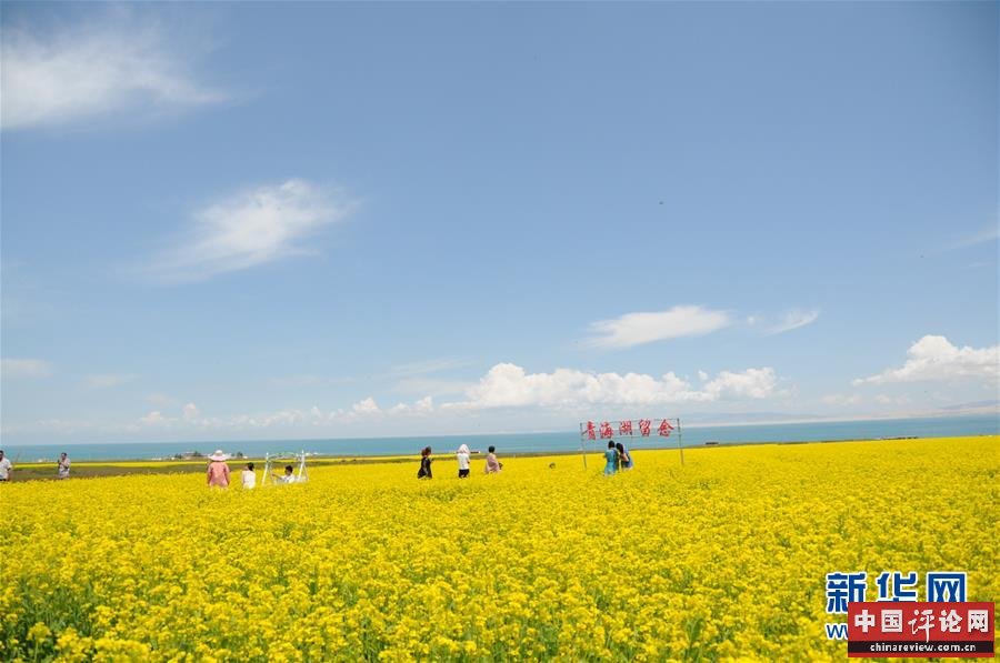 （新华全媒头条·图文互动）（8）大湖见证 ——持续保护让青海湖生态华丽“蝶变”