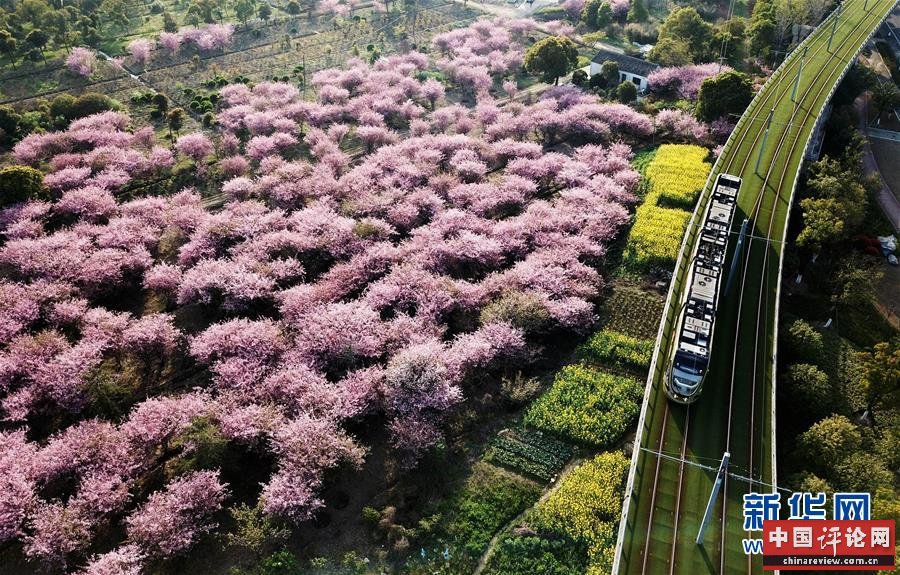 （新华全媒头条·图文互动）（4）伟大旗帜引领历史巨变——习近平新时代中国特色社会主义思想指引“十三五”经济社会发展述评