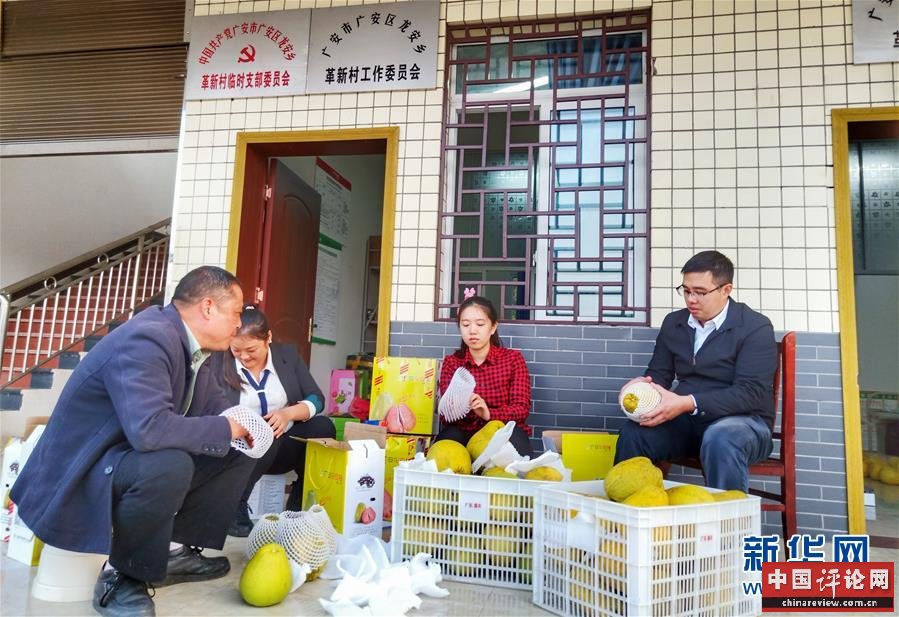 （新华全媒头条·五中全会精神在基层·图文互动）（1）奋发新青年　逐梦新征程——各地青年学习贯彻落实五中全会精神观察