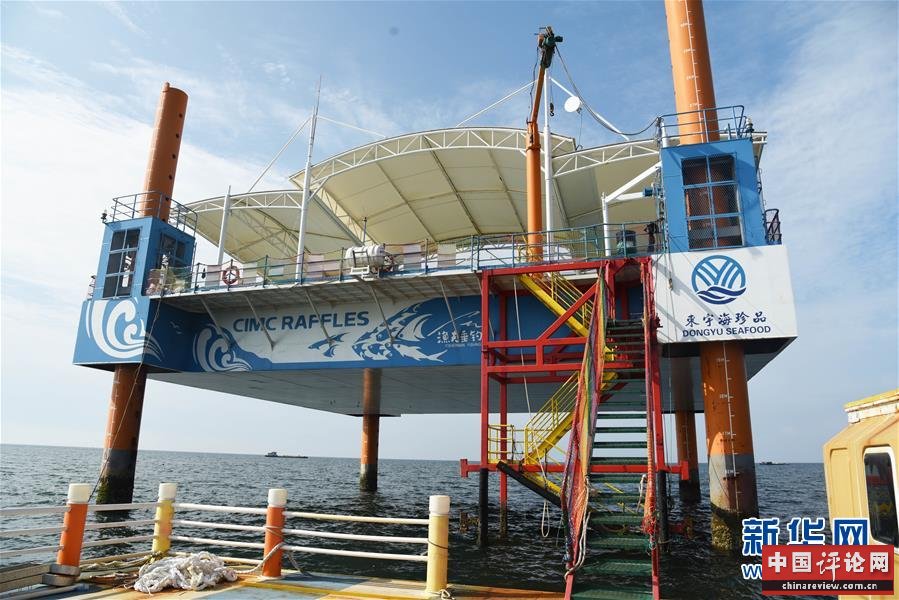 （新华全媒头条·图文互动）（9）“拔”海起牧场 “耕”海新牧歌