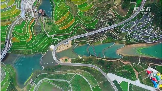 习近平时间丨建设城市美丽家园
