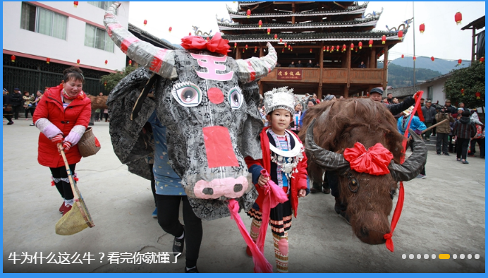 牛为什么这么牛？看完你就懂了