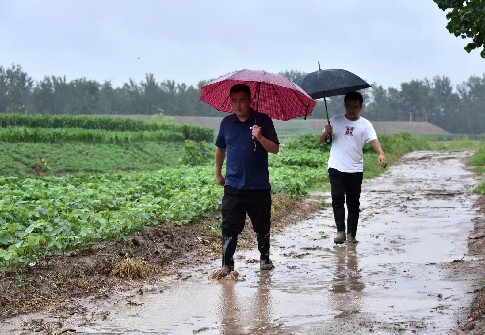从“民生账单”看一位镇长的民生情怀