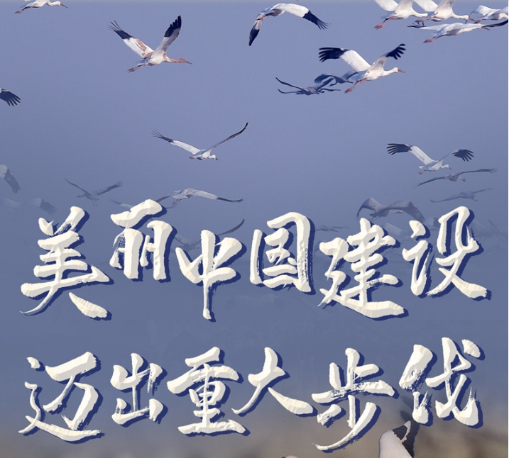 美丽中国建设迈出重大步伐