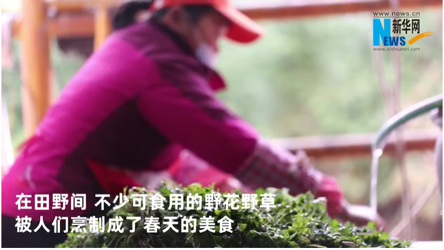 赣南山区春天的“味道”