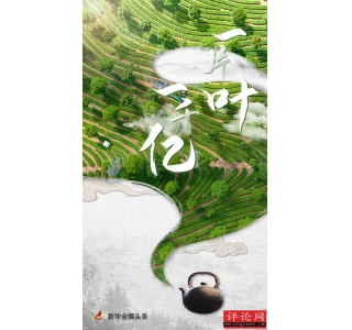 一片叶，一千亿