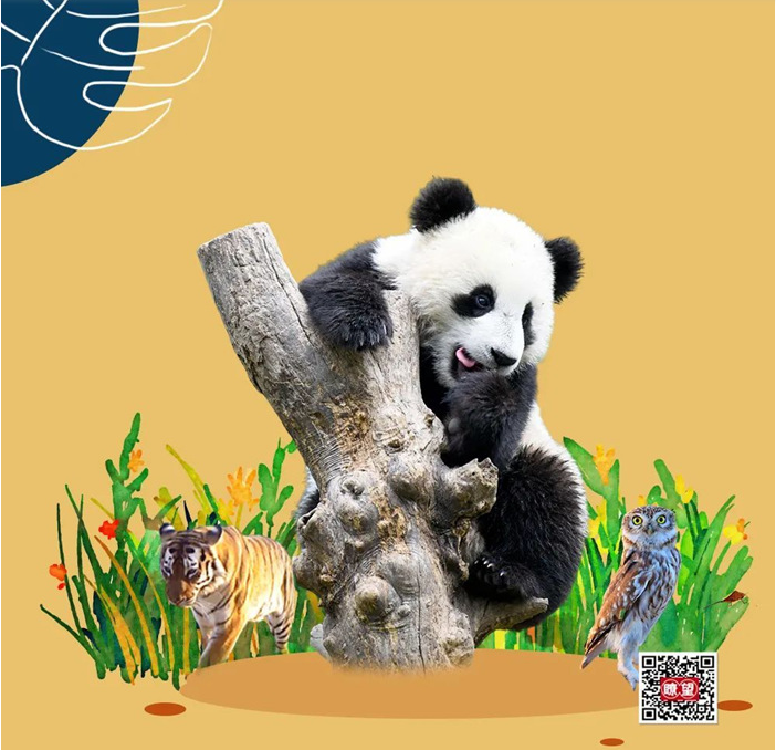 瞭望·治国理政纪事丨多样生物守护地球家园