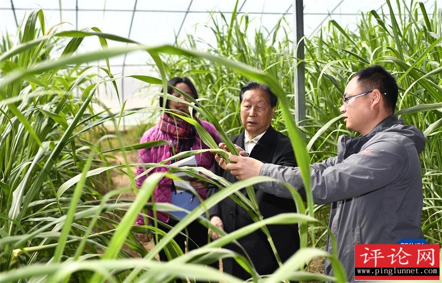 （新华全媒头条·图文互动）（4）习近平的山海情