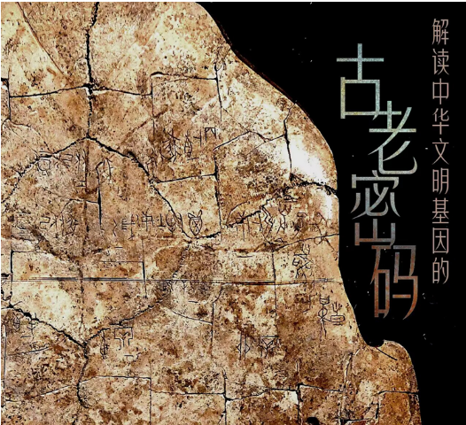 解读中华文明基因的古老密码——殷墟考古成果探查