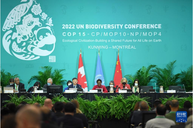万物并育和合生——中国积极推动全球生物多样性治理进程