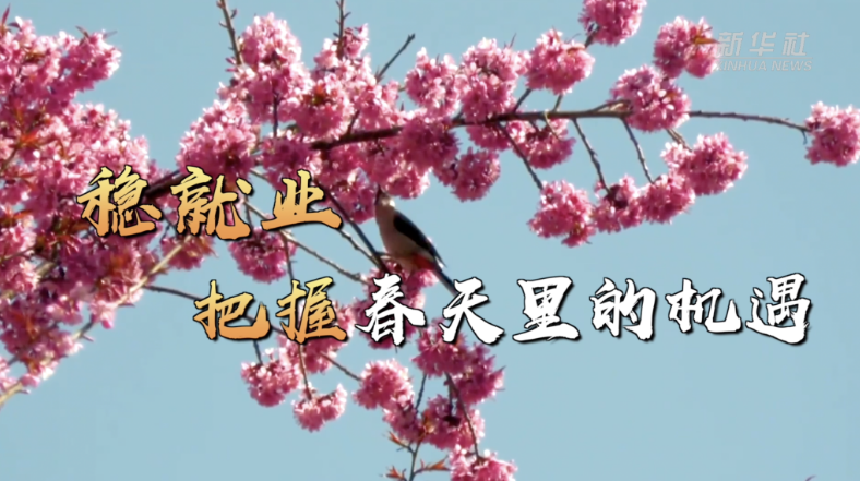 稳就业 把握春天里的机遇