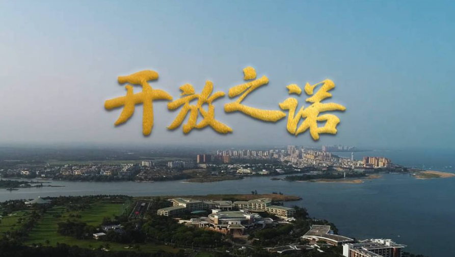 开放之诺