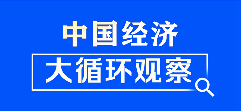 中国经济大循环观察