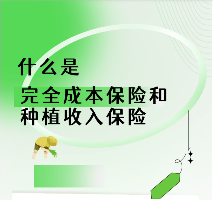 三大粮食作物“双保险”全面实施 为种粮农民带来哪些保障