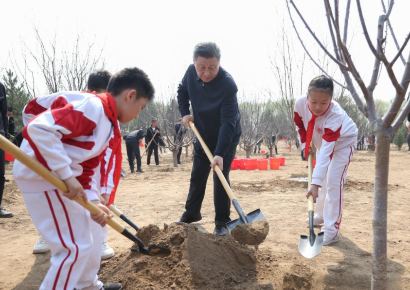 环境日，跟随总书记领悟守护绿水青山之道