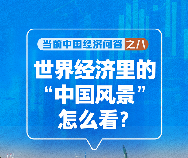 世界经济里的“中国风景”怎么看