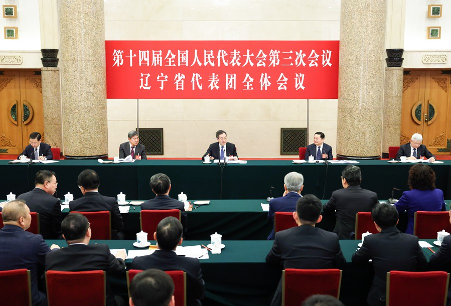 丁薛祥在参加辽宁代表团审议